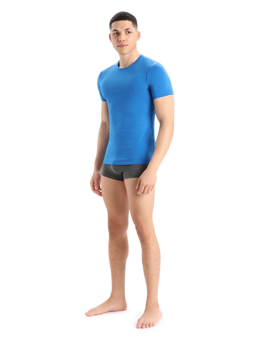 Icebreaker Cool-Lite™ Merino Anatomica Trunks Férfi Fehérnemű Taupe | HU 1288WNBY